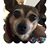 Rhonda Moore Tankersley's profile image