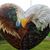 Deb Johnson's profile image