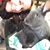 Stephanie F. Anielski Lodge's profile image