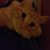 April Loper's profile image