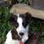Linda M. Moroni's profile image