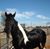 Mary Ellen Crane's profile image