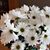 Heather Wille's profile image