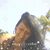 Arleen Ferreiras Hill's profile image
