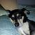 Tom Reino's profile image