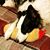 Charity Codey Drake's profile image