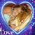 Dianne Velting's profile image