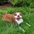 Peggy Nash Spurlin's profile image