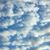 Marcella Marcozzi's profile image