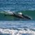 Peggy Brown Williamson's profile image
