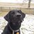 Lynne Robertson Post's profile image