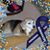 Barb Happ Zimmerman's profile image