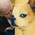 Kaye Britt Thompson's profile image