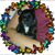 Ashley Stratton's profile image