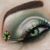 Patricia Solorzano's profile image