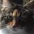 Beverly Hatton's profile image