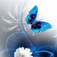 Denise Mecca's profile image