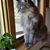 Shirley Scoles's profile image
