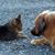 Jackie Estes Pritchett's profile image