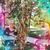 Holly Cymbola Hanson's profile image