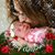 Lauren Norris's profile image