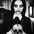 Dominic Segovia Alvarez's profile image
