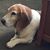 William Berryhill's profile image
