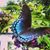 Joanne H Marsella Lowell's profile image