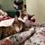 Gail Burk Stocker's profile image