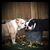 Jacquline Kersey's profile image