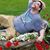 Derek Blair's profile image