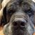 Buddy Reese's profile image