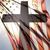 Tammy Chilton Eaton's profile image