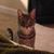 Matthew Scott's profile image