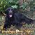 Lisa K Wilson's profile image