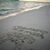 Rossana Dian's profile image