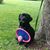 Matthew Jeffers's profile image