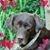 Steven Bader's profile image