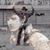 CourtneyandBlake Daniels's profile image