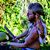 Son Flower Shanti Vishwanath's profile image