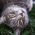 Nadine Hackman's profile image