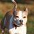 Paul Landreth-Smith's profile image