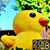 David Chen's profile image