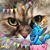 Dodie Silvis- Holst's profile image