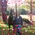 Karen Kelly Ross's profile image