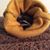 Michelle Hirsch's profile image