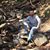 Kristopher Haines's profile image
