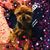 Delia Canino's profile image