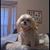 Carol Latham's profile image