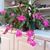 Lucy Gray Tuggle's profile image